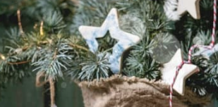 festive ornamentCapture.PNG