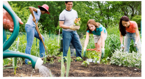 GARDENCapture.PNG