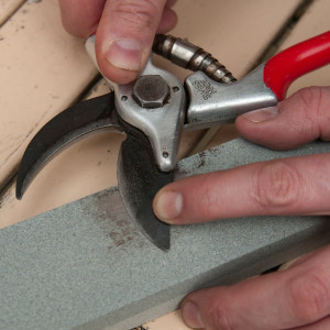 sharpening-secateurs.jpg